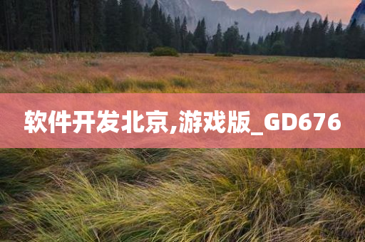 软件开发北京,游戏版_GD676