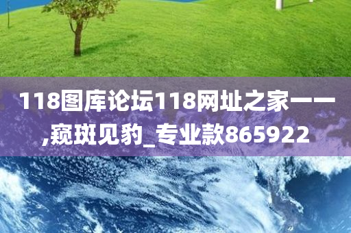 118图库论坛118网址之家一一,窥斑见豹_专业款865922