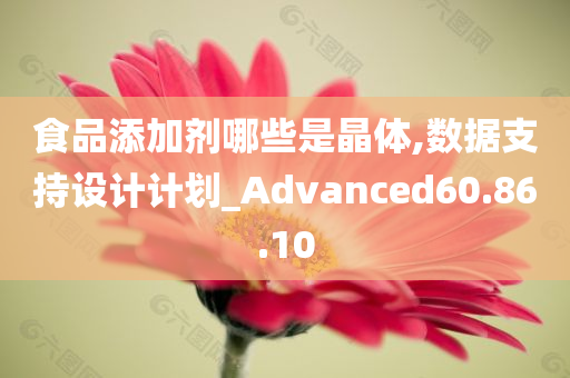 食品添加剂哪些是晶体,数据支持设计计划_Advanced60.86.10