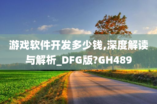 游戏软件开发多少钱,深度解读与解析_DFG版?GH489