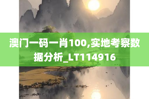 澳门一码一肖100,实地考察数据分析_LT114916