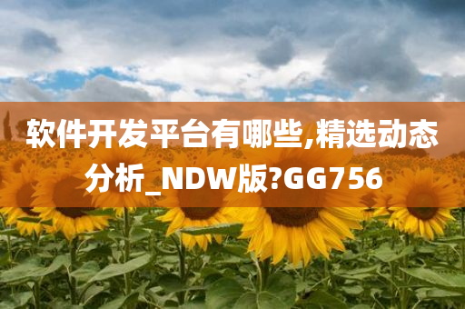 软件开发平台有哪些,精选动态分析_NDW版?GG756