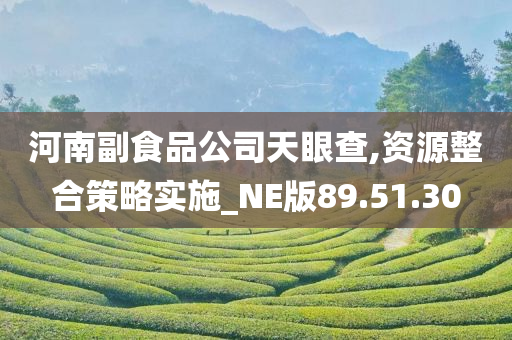 河南副食品公司天眼查,资源整合策略实施_NE版89.51.30