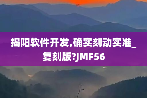 揭阳软件开发,确实刻动实准_复刻版?JMF56