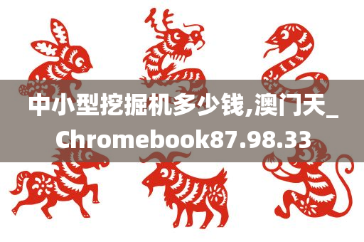 中小型挖掘机多少钱,澳门天_Chromebook87.98.33