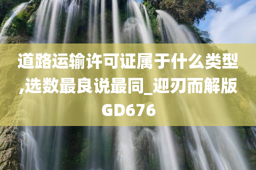 道路运输许可证属于什么类型,选数最良说最同_迎刃而解版GD676