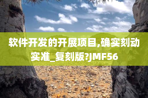 软件开发的开展项目,确实刻动实准_复刻版?JMF56