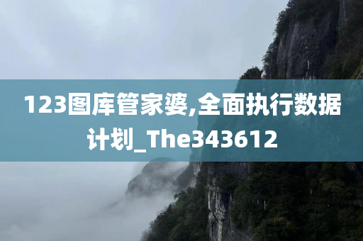 123图库管家婆,全面执行数据计划_The343612