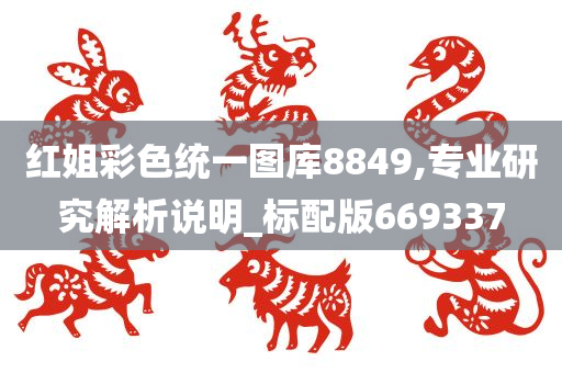 红姐彩色统一图库8849,专业研究解析说明_标配版669337