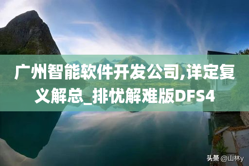 广州智能软件开发公司,详定复义解总_排忧解难版DFS4