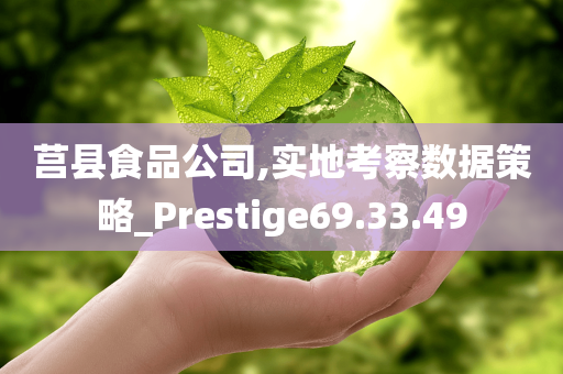 莒县食品公司,实地考察数据策略_Prestige69.33.49