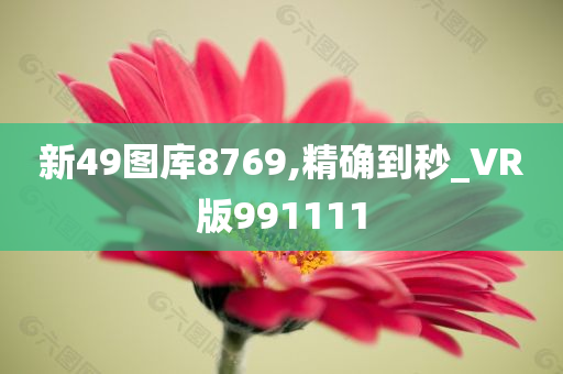 新49图库8769,精确到秒_VR版991111