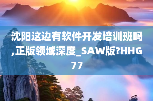 沈阳这边有软件开发培训班吗,正版领域深度_SAW版?HHG77