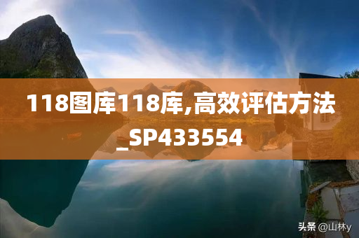 118图库118库,高效评估方法_SP433554