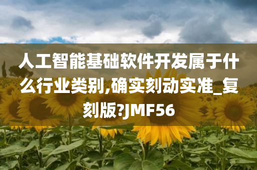 人工智能基础软件开发属于什么行业类别,确实刻动实准_复刻版?JMF56