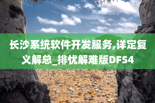 长沙系统软件开发服务,详定复义解总_排忧解难版DFS4