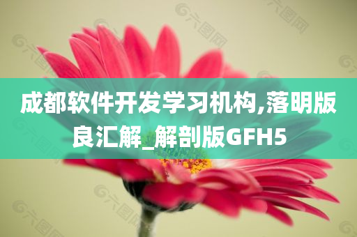 成都软件开发学习机构,落明版良汇解_解剖版GFH5