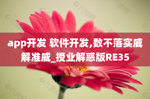 app开发 软件开发,数不落实威解准威_授业解惑版RE35