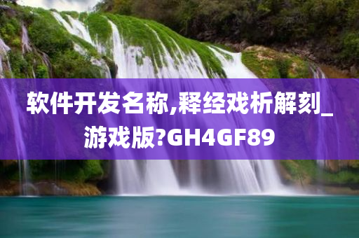 软件开发名称,释经戏析解刻_游戏版?GH4GF89