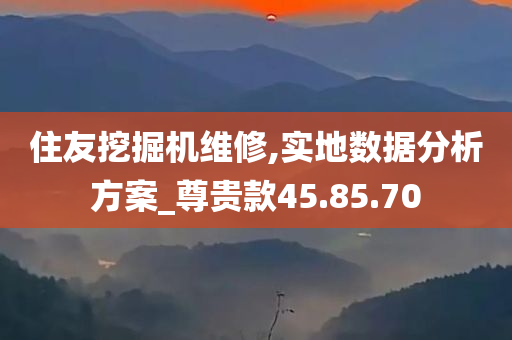 住友挖掘机维修,实地数据分析方案_尊贵款45.85.70