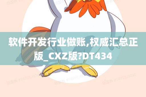 软件开发行业做账,权威汇总正版_CXZ版?DT434