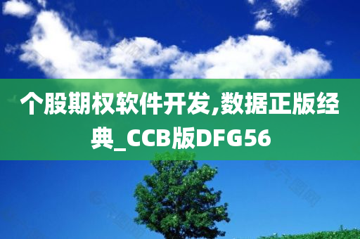 个股期权软件开发,数据正版经典_CCB版DFG56