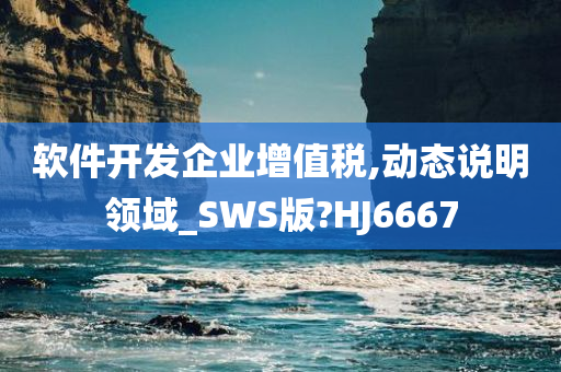 软件开发企业增值税,动态说明领域_SWS版?HJ6667