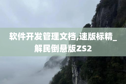 软件开发管理文档,速版标精_解民倒悬版ZS2