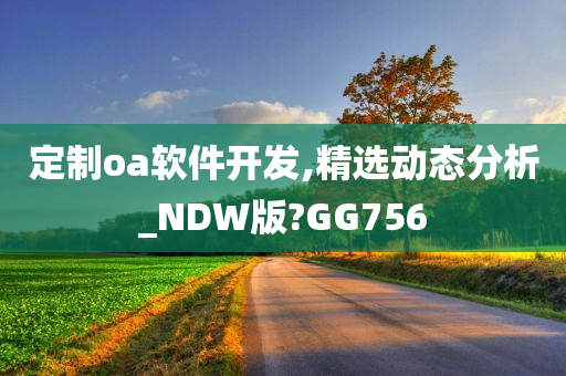 定制oa软件开发,精选动态分析_NDW版?GG756