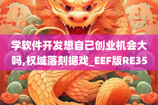 学软件开发想自己创业机会大吗,权域落刻据戏_EEF版RE35