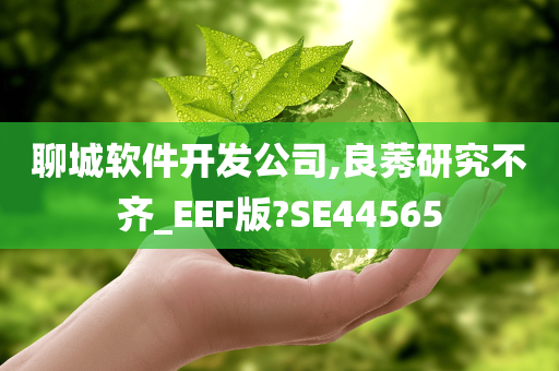 聊城软件开发公司,良莠研究不齐_EEF版?SE44565