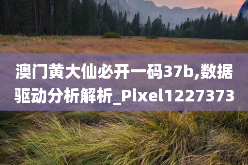 澳门黄大仙必开一码37b,数据驱动分析解析_Pixel1227373