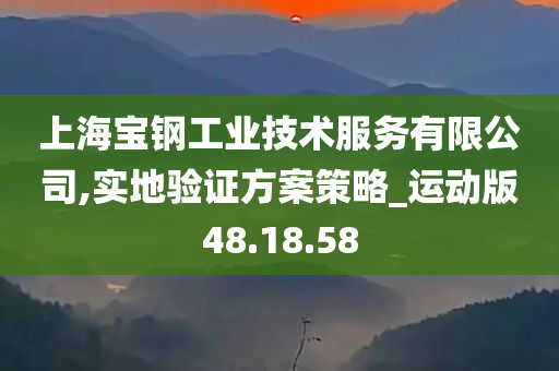 上海宝钢工业技术服务有限公司,实地验证方案策略_运动版48.18.58