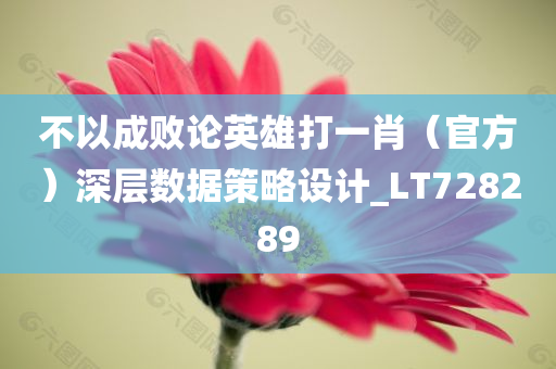 不以成败论英雄打一肖（官方）深层数据策略设计_LT728289