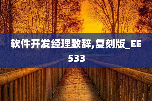 软件开发经理致辞,复刻版_EE533