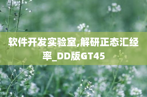 软件开发实验室,解研正态汇经率_DD版GT45