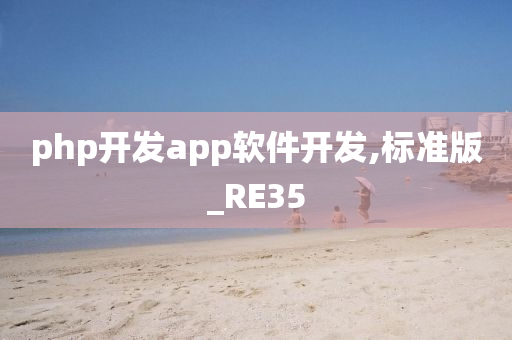 php开发app软件开发,标准版_RE35