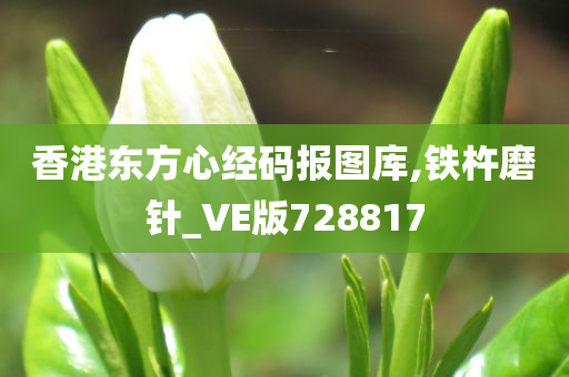 香港东方心经码报图库,铁杵磨针_VE版728817