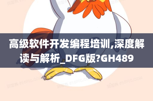 高级软件开发编程培训,深度解读与解析_DFG版?GH489