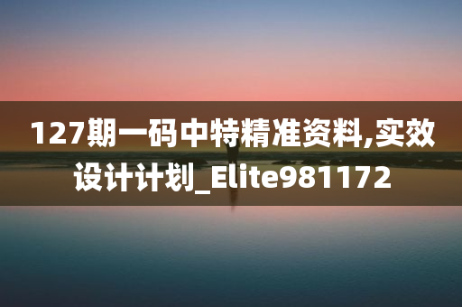 127期一码中特精准资料,实效设计计划_Elite981172