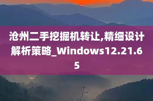 沧州二手挖掘机转让,精细设计解析策略_Windows12.21.65