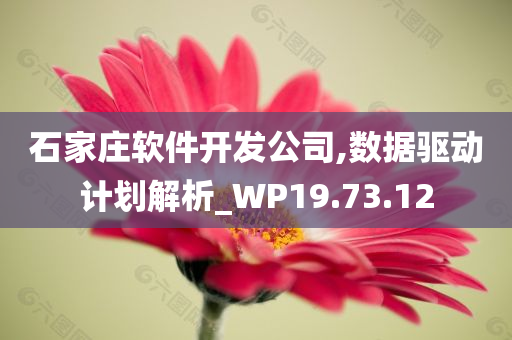 石家庄软件开发公司,数据驱动计划解析_WP19.73.12