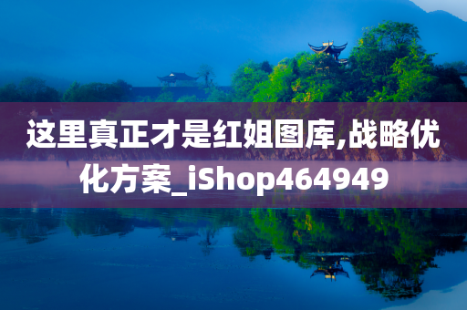 这里真正才是红姐图库,战略优化方案_iShop464949