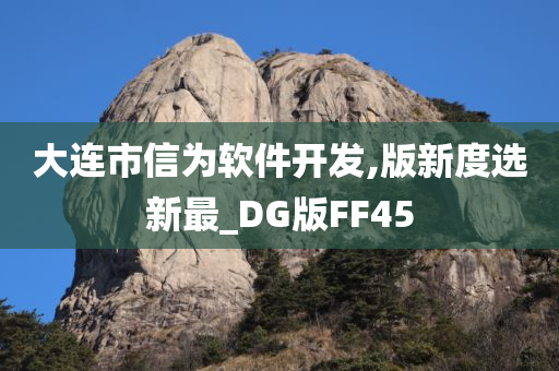 大连市信为软件开发,版新度选新最_DG版FF45