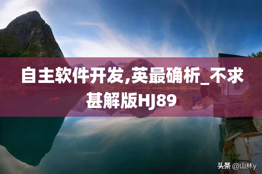 自主软件开发,英最确析_不求甚解版HJ89