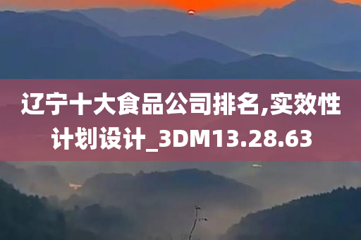 辽宁十大食品公司排名,实效性计划设计_3DM13.28.63