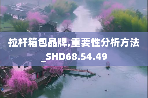 拉杆箱包品牌,重要性分析方法_SHD68.54.49