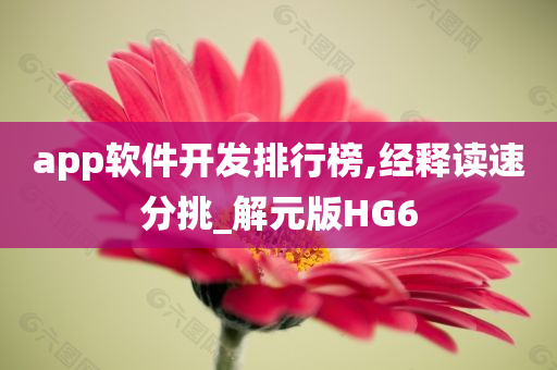 app软件开发排行榜,经释读速分挑_解元版HG6