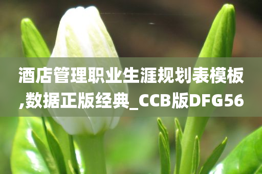 酒店管理职业生涯规划表模板,数据正版经典_CCB版DFG56