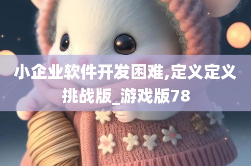 小企业软件开发困难,定义定义挑战版_游戏版78